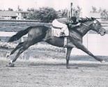 CITATION 8X10 PHOTO HORSE RACING PICTURE JOCKEY B/W - $4.94