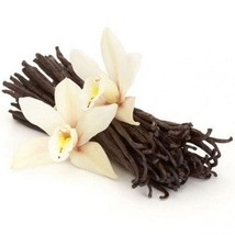 Vanilla-Infused oil 30ml - $15.97