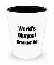 Grandchild Shot Glass Worlds Okayest Funny Gift Idea For Liquor Lover Alcohol 1. - £10.31 GBP