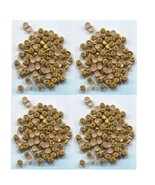 MEDALLION Designer RHINESTUDS 5mm Hot Fix   GOLD    2 Gross  288 Pieces - $130.53 MXN