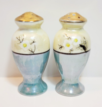 1960 Salt &amp; Pepper Shakers Japan Ceramic Hand Painted Floral Vintage - £28.41 GBP