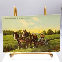 Antique Cook &amp; Morgan Postcard, A Humming Time in the Iowa Meadows, Iowa... - $20.32