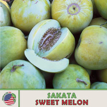 FA Store 10 Sakata Sweet Melon Seeds Heirloom Non-Gmo - £8.72 GBP