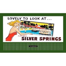 Silver Spring #2 Glossy Billboard Insert LIONEL/AMERICAN Flyer - £5.57 GBP