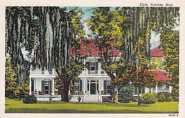 Natchez Mississippi MS Elgin Plantation Front View &amp; Weeping Trees Postcard D27 - $2.99