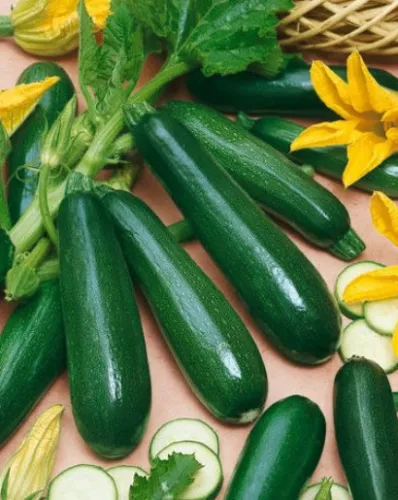 SEPTH Zucchini Seeds, Black Beauty, Summer Squash, Seed, Non-Gmo Heirloom Squash - £2.97 GBP