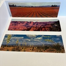 Yucca in Bloom Grand Canyon Poppy Fields California Desert big Vintage Postcards - £6.18 GBP