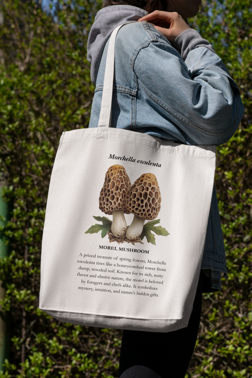Morel Mushroom Tote Bag – Morchella esculenta - $15.00