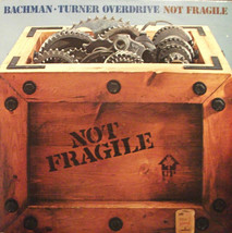 Not Fragile [Vinyl] - $19.99