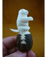 (TNE-OTT-259-c) little Otter Ferret Ermine standing TAGUA NUT Figurine V... - $548.35 MXN