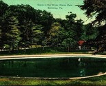 Scene in Water Works Park Sewickley Pennsylvania PA 1911 DB Postcard - $4.90