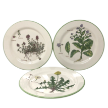 Williams Sonoma Culinary Herbs Luncheon Plates 8.75&quot; Salad Portugal Set ... - £19.66 GBP