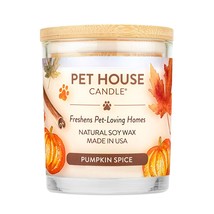 Pet House Candle Pumpkin Spice Large Case of 3 - £80.37 GBP