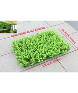 10pcs Plant Background Wall Eucalyptus Encryption Globulus Grass free sh... - $200.98