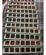 1963 Kenner Color Slide lot Of 16  - $20.57