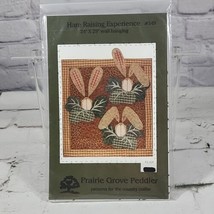 HARE RAISING EXPERIENCE Rabbit Bunny Applique Wall Hanging Quilt Pattern  - £6.18 GBP