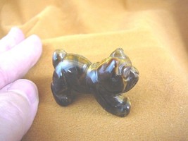 (Y-DOG-EB-556) Brown tan BULLDOG bull dog carving FIGURINE gem stone lov... - £11.17 GBP