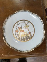 Astroworld Souvenir Plate (Houston Texas) Floral &amp; Hummingbirds 7.5&quot; Nice Plate - £33.51 GBP