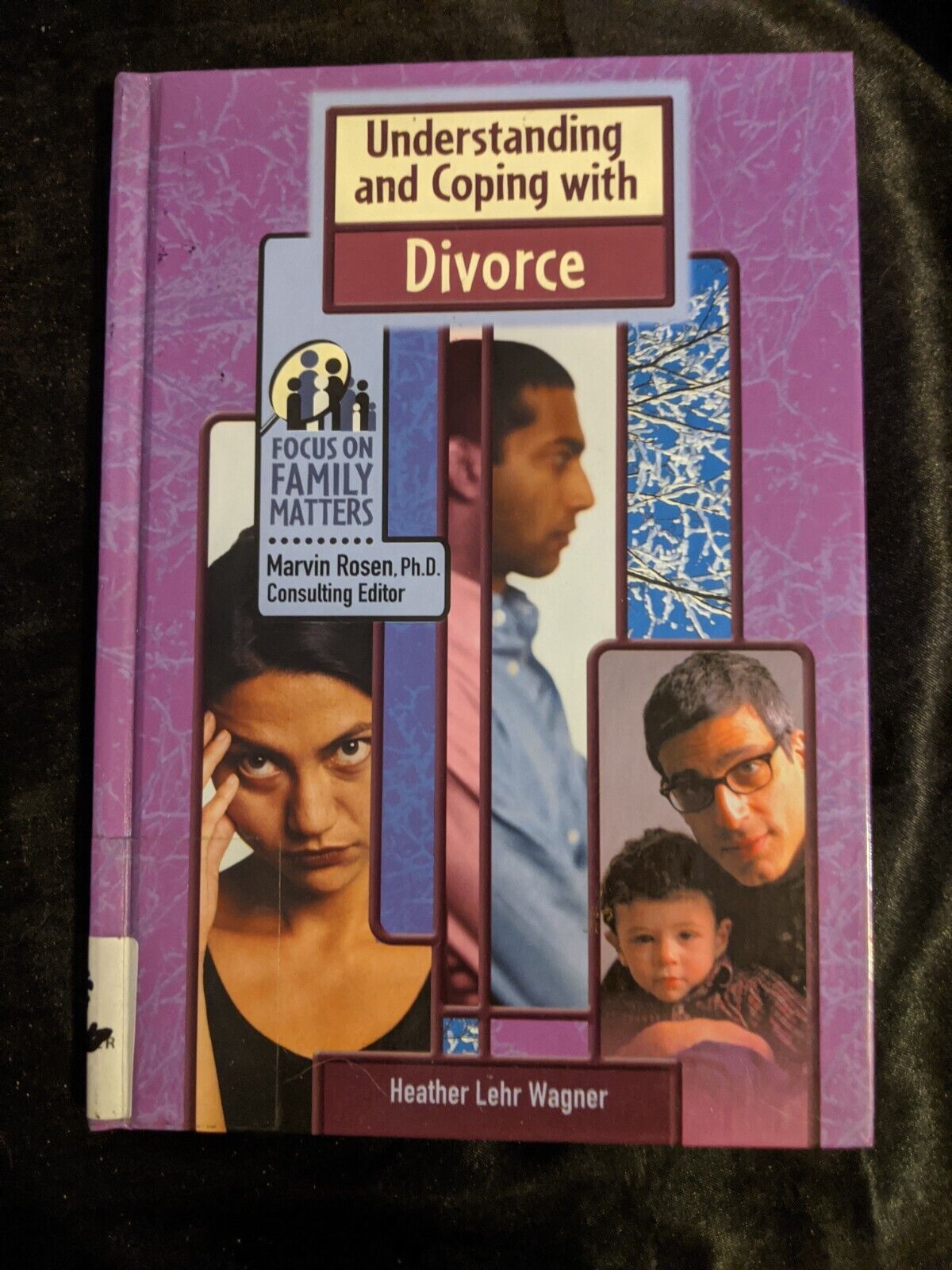 Understanding and Coping with Divorce by Heather Lehr Wagner - $6.92