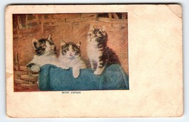 Kittens Cats Wide Awake Postcard Vintage Series 587 Artist Signed E. Graham - £6.17 GBP