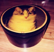 Hallmark Historical Collection Cat Music Box plays "la Vie En Rose" image 2