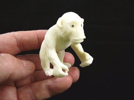 (tne-ape-ch-410) white CHIMPANZEE Chimp Ape Monkey TAGUA NUT Figurine ca... - £25.99 GBP