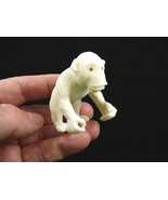 (tne-ape-ch-410) white CHIMPANZEE Chimp Ape Monkey TAGUA NUT Figurine ca... - $619.44 MXN