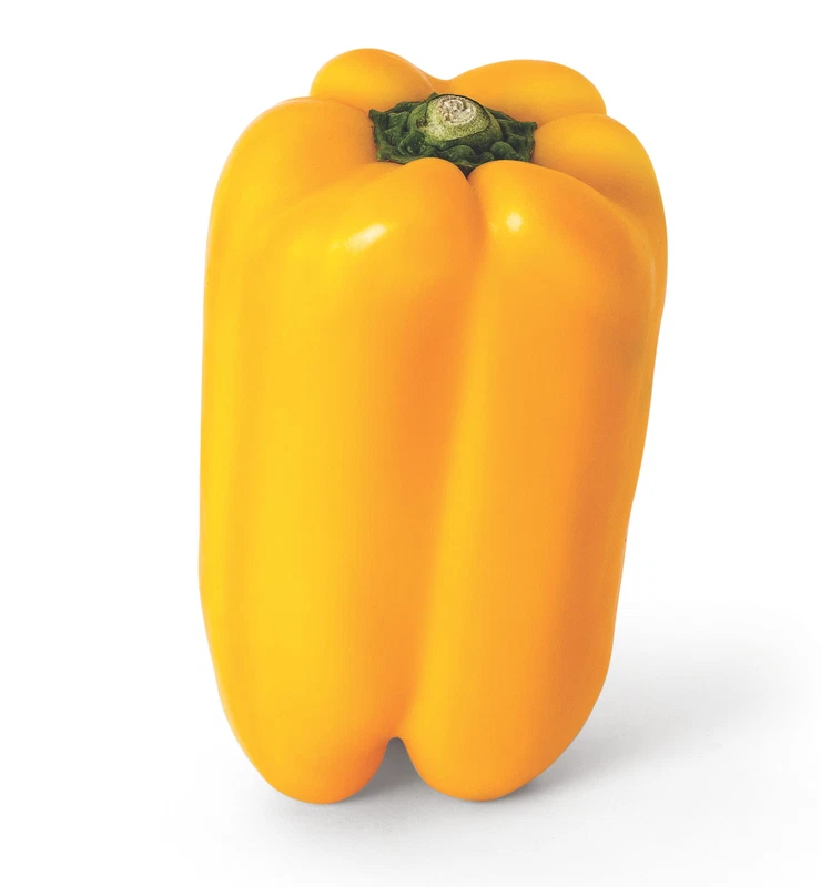 Gold Fortune Bell Pepper 15 Seeds – Must-Have for Gardeners - $93.78 MXN