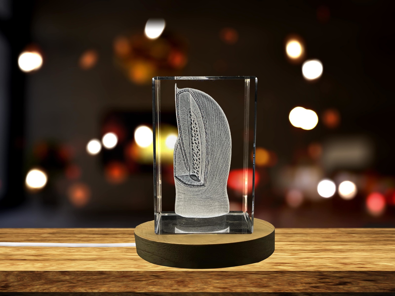 LED Base included | Nails-Art | 3D-Engraved-Crystal-Keepsake | Gift/Decor