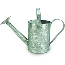 Robert Allen Home &amp; Garden Robert Allen MPT01191 Jameson Metal Watering ... - $72.15 CAD