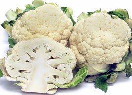 SEED-Heirloom Cauliflower Seed- Popular, Easy to Grow Snowball Variety - $74.68 MXN+
