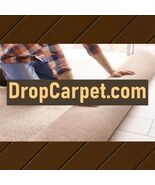 DropCarpet .com / Domains For Sale / Business Brand, Website Name / Porkbun - $24.75