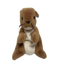 Ty Beanie Babies Brown Squirrel Nuts 5.5 Plush Stuffed Animal no paper tag  1996 - $6.92