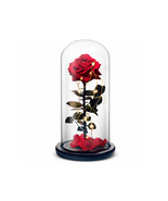 Beauty and The Beast Rose (Red) - $199.99+