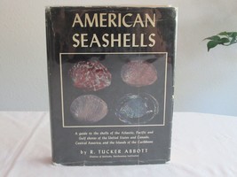 American Seashells ~ R. Tucker Abbott ~ 1955 ~3rd Printing Hardcover Exl... - £15.14 GBP
