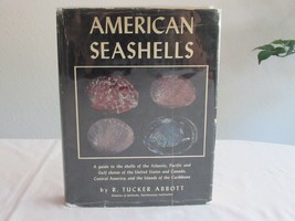 American Seashells ~ R. Tucker Abbott ~ 1955 ~3rd Printing Hardcover Exlibrary? - £14.94 GBP