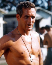 Paul Newman in Cool Hand Luke hunky bare-chested pose with dog tags 16x20 Canvas - £55.94 GBP