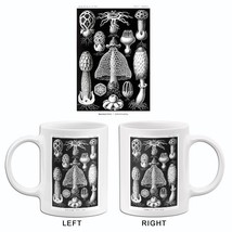 Basimycetes-Schwammpilze - Mushrooms - 1904 - Illustration Mug - £19.47 GBP+