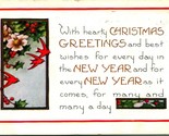 Hearty Christmas Greatings Poem Holly Birds Whitney Made 1920 Postcard - $3.91