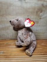 Ty Beanie Baby Pecan The Bear Collectible Plush Retired Vintage Original New - £5.79 GBP