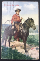 Vintage 1910 Cowboy on Black Horse Watching Cattle Postcard - $13.99