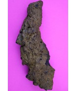 Giant Lizard Poop 5 Million Years Old Coprolite Genuine Fossil Dino Girl... - $34.99