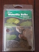 Live Waterlily Bulb For Aquariums and Ponds - £31.55 GBP