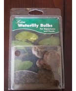 Live Waterlily Bulb For Aquariums and Ponds - $54.05 CAD