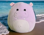 Squishmallow Hannah the Hippopotamus Purple 8” NWT Purple Cuteness All Y... - £10.21 GBP