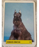 ⭕⭕VTG pocket calendar 1993 DOGS MANIL SCHNAUZER MINIATURE N174 - €3,83 EUR