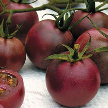 Chocolate Cherry Super Sweet 30 Tomato Seeds - £6.14 GBP