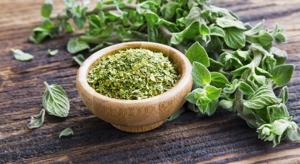 250 Italian Oregano Herb Seeds Non-Gmo - $2.53