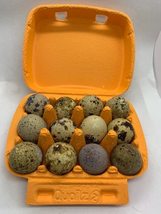 Quail Carton Pumpkin for 12 Eggs 25 Pieces - $33.80