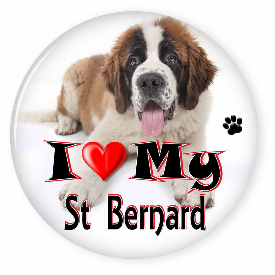 I LOVE MY SAINT BERNARD DOG PUPPY 3&quot; SAFETY PIN BACK BUTTON - $6.29